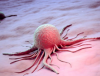 Ученые впервые принудили раковые клетки к самоуничтожению